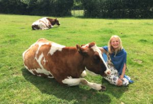 serena with cows